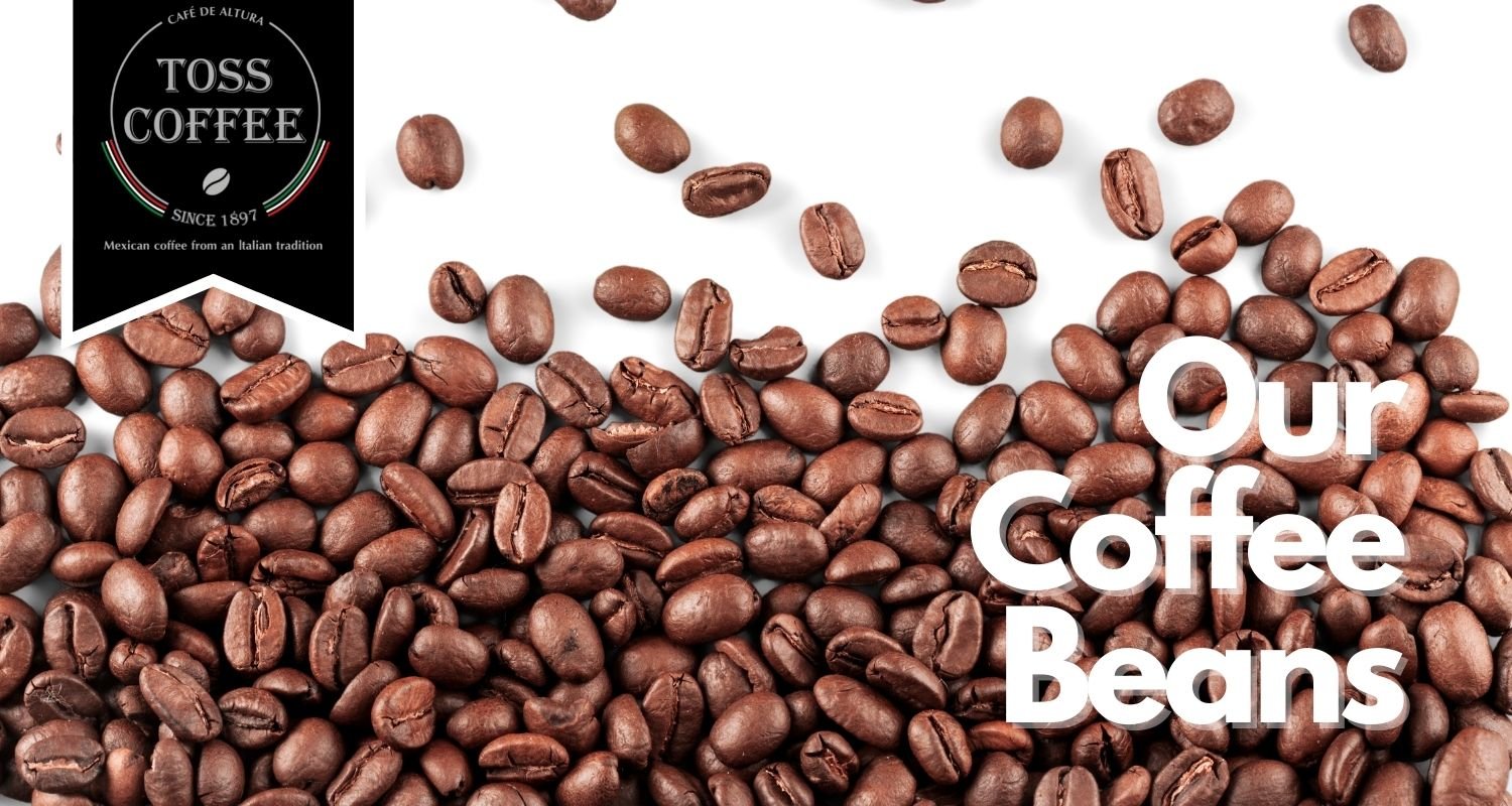 Toss Coffee - Our Coffee Beans